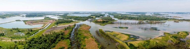 Hébergements insolites dans le Biesbosch