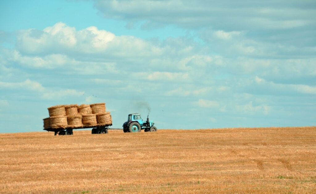 vacances à la ferme aux pays-bas
